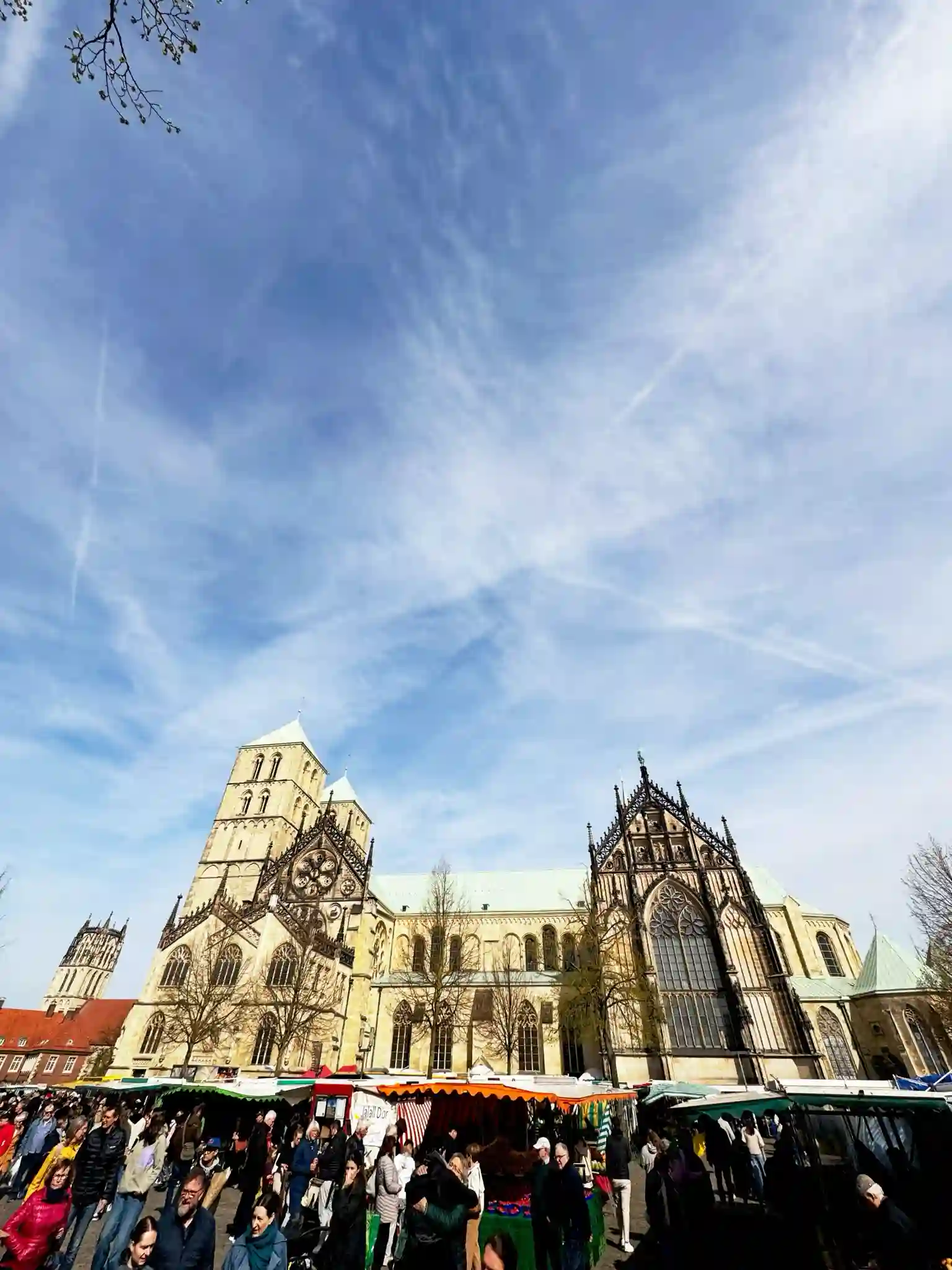 Wochenmarkt Münster Dom