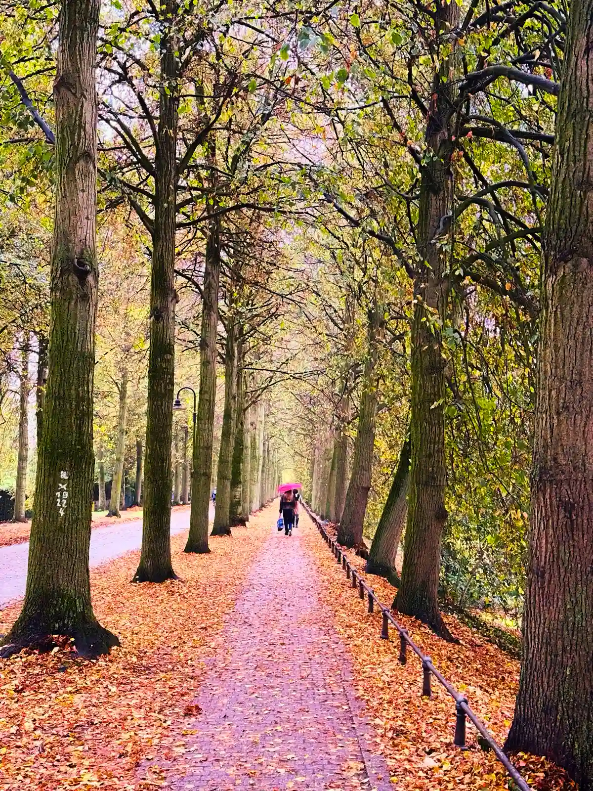 Promenade Münster im Herbst