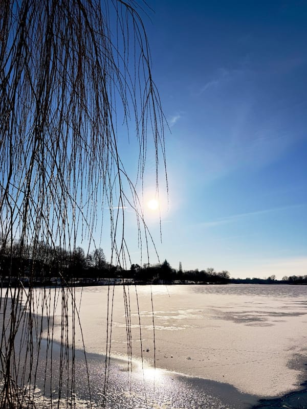 481.DE #4 She's X Oasis Culture, Endstation Sehnsucht, Schallplattenbörse