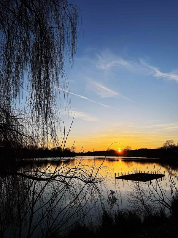 481.DE #7 Langer Freitag, Rare, One Billion Rising, Valentinstag, Karneval!