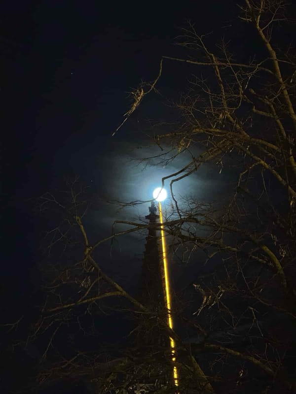 481.DE #11 Langer Freitag, Snakatak, Blaze, Konzert des Jahres